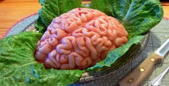 пища для мозга
