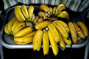 можно ли потолстеть от бананов